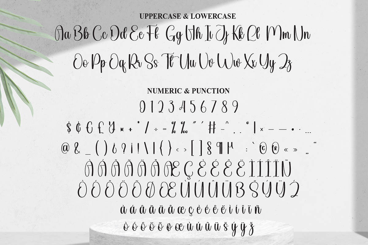Alphabet | Script Font, a Handwritten Font by Scratchones (Photo 7 of 8)