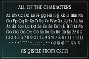 CS Gisele – Modern Font, a Serif Font by Craft Supply Co. (Thumbnail 8 of 8)