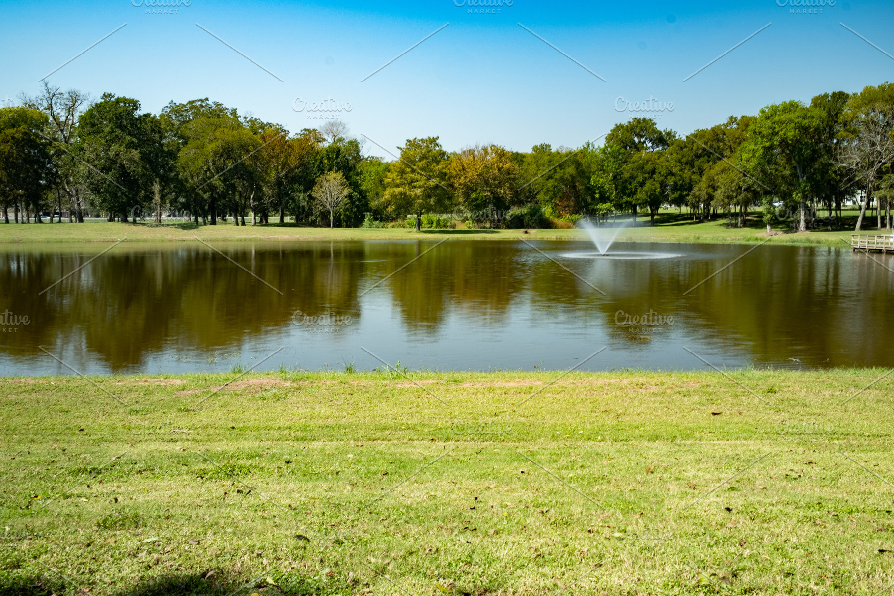 Water Feature At Beautiful Park Pond, a Nature Photo by Snake Eye Media