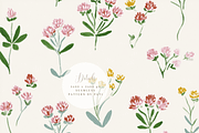 Clover Wildflower Seamless Pattern P, a Pattern Graphic by Pati Charm Studio (Thumbnail 6 of 8)