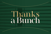 Voguella - Luxury Serif, a Serif Font by Mokatype Studio (Thumbnail 11 of 11)