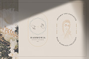 Aphrodite Branding Logos, a Branding & Logo Template by SNIPESCIENTIST (Thumbnail 15 of 32)