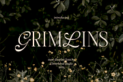 Grimlins Mixed Display Font, a Serif Font by Letterhend Studio (Thumbnail 1 of 10)