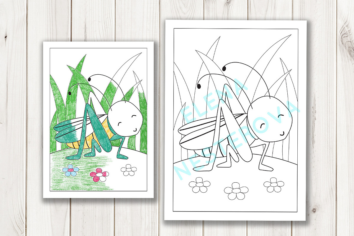 Coloring Pages with insects, an Illustration by Elena Nesterova (Photo 5 of 7)