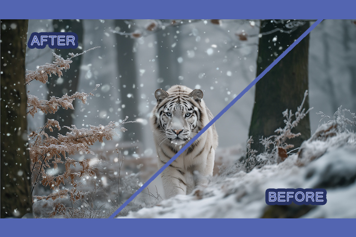 Snow Overlay, a Texture Graphic by BazziBa♥ (Photo 7 of 9)