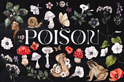 Poison. Watercolor and line art., an Object Illustration by ma_i_vi (Thumbnail 3 of 12)