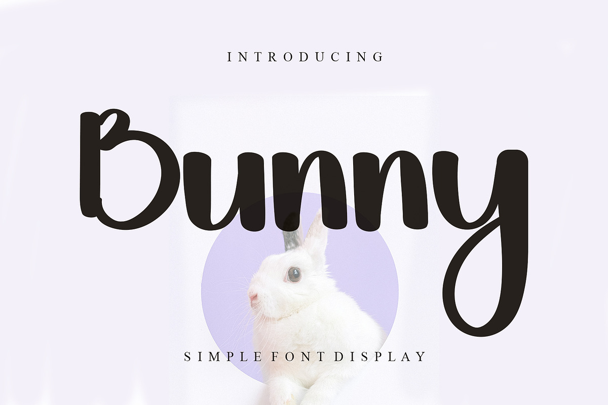 Bunny, a Handwritten Font by FreshTypeINK (Photo 1 of 6)