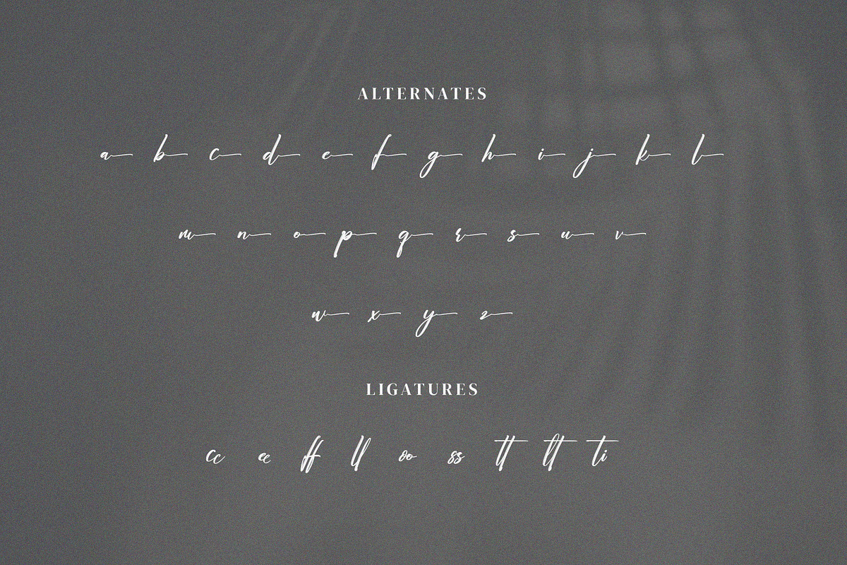 Challystin, a Handwritten Font by Goresan Studio (Photo 12 of 15)