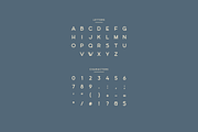 Brester - Modern Display Typeface, a Font by Letterna (Thumbnail 3 of 4)