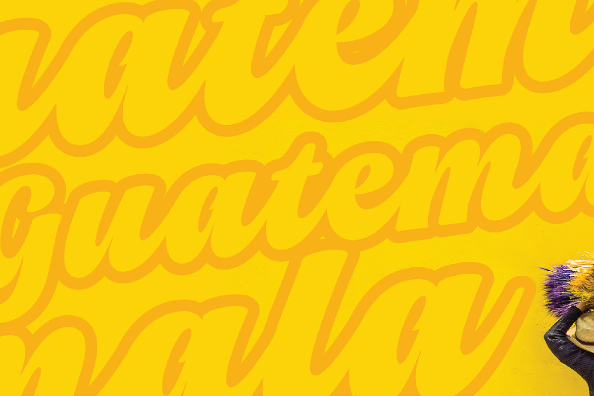Vivian Script preview 2