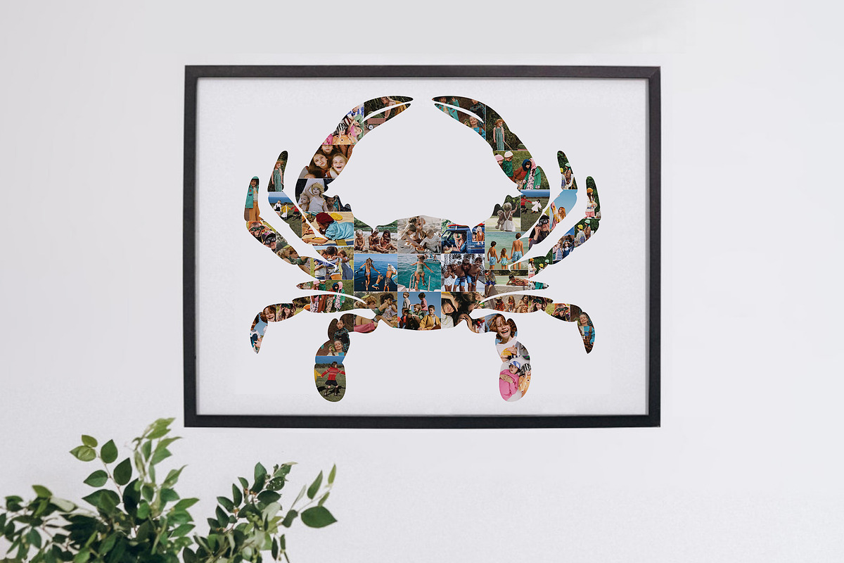 Crab photo collage template, a Poster Template by AIW SOLUTIONS (Photo 2 of 3)
