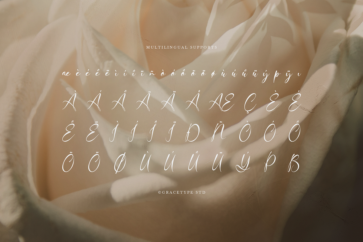 Haniquta | Beauty Calligraphy Script, a Script Font by gracetype_studio (Photo 12 of 12)