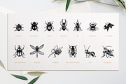 ENTOMOLOGY. Insects Vintage Pack., a Decorative Illustration by Chewie Co (Thumbnail 7 of 11)