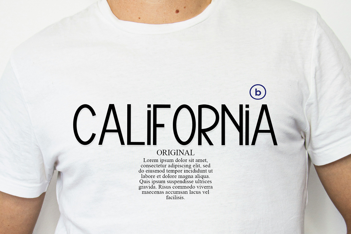 Vintage, a Serif Font by InermediaSTUDIO (Photo 5 of 7)