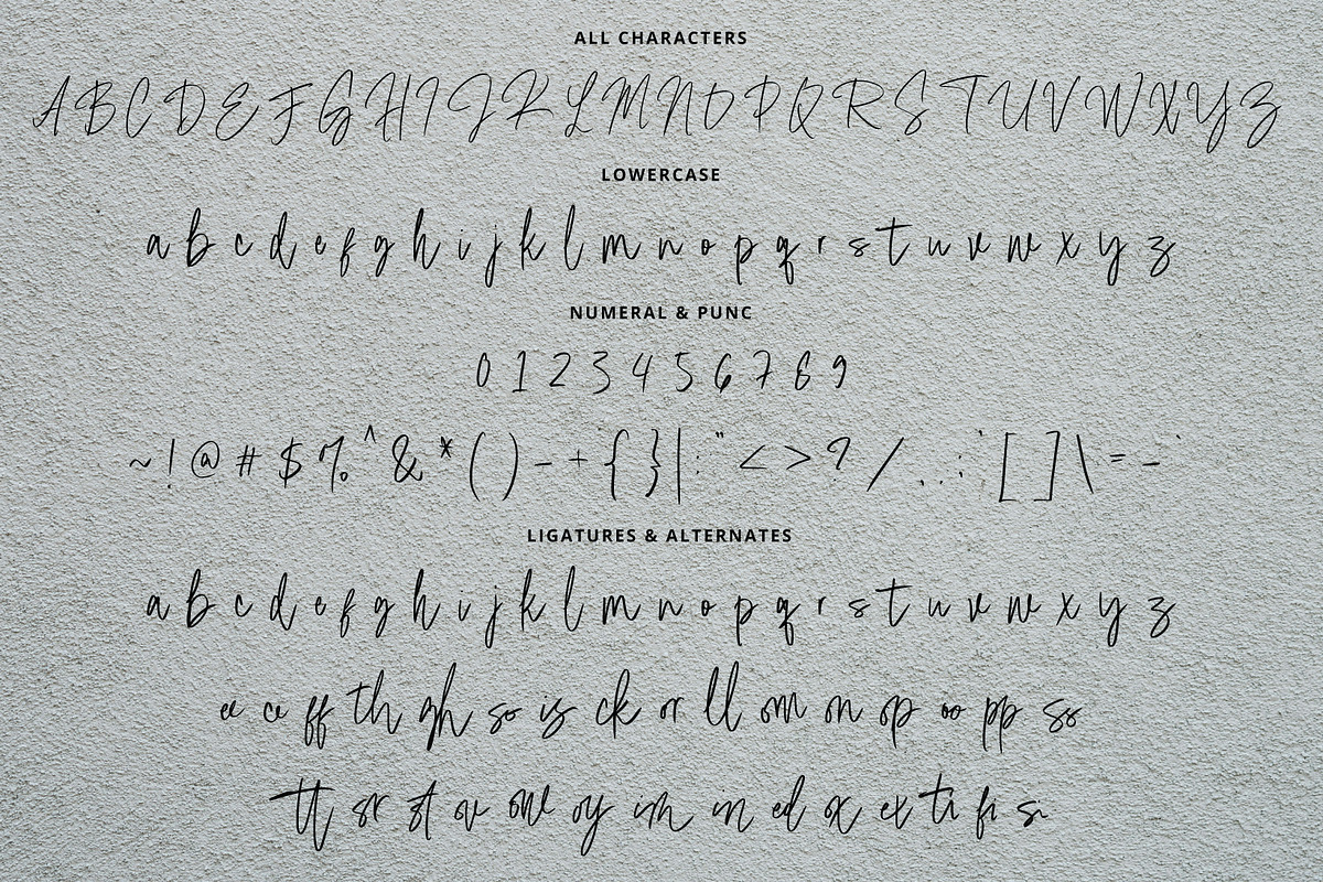 Masha Signature, a Handwritten Font by Eltypesstudio (Photo 3 of 10)
