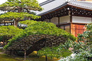Japanese garden in Japan, a Nature Photo by BOOCYS