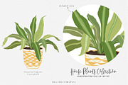 House Plants Collection, a Graphic by SmallHouseBigPony (Thumbnail 10 of 18)