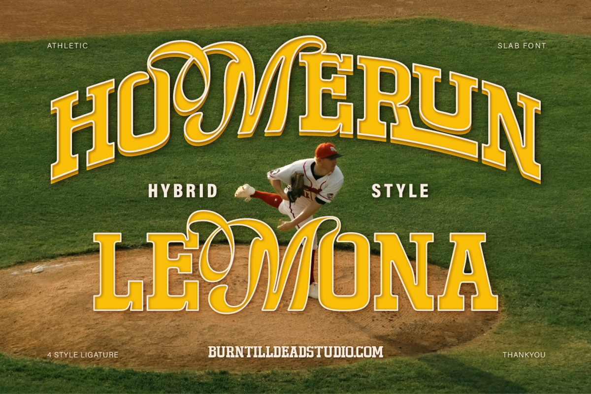 Lemona - Hybrid Style, a Slab Serif Font by Burntilldead (Photo 13 of 13)