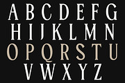 Serelia Serif Family | Intro 60% OFF, a Serif Font by Lettertype Studio (Thumbnail 9 of 17)