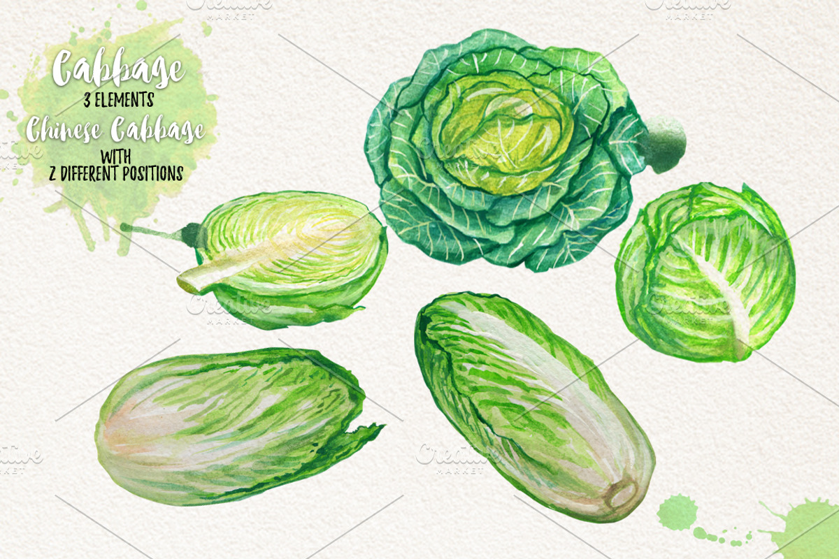Watercolor Vegetables, Herbs, an Animal Illustration by Graphobia (Photo 5 of 12)