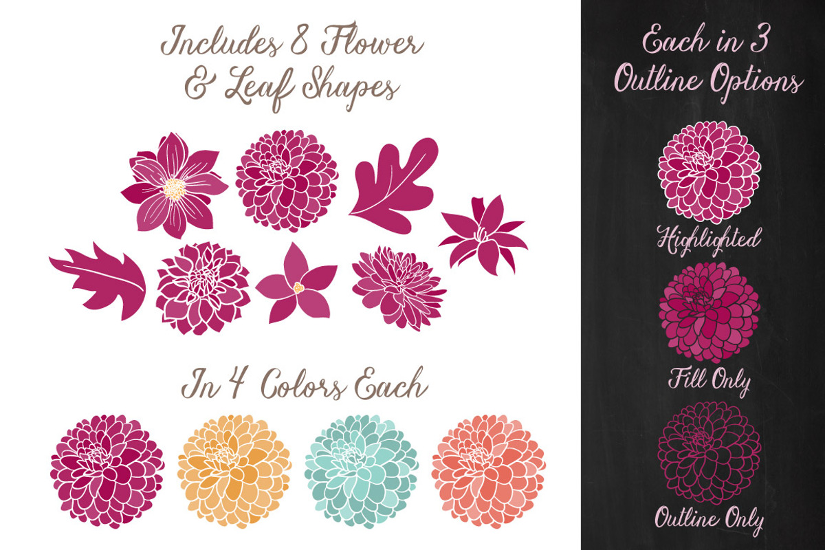 Bohemian Dahlias Clipart & Vectors, an Illustration by Amanda Ilkov (Photo 3 of 4)