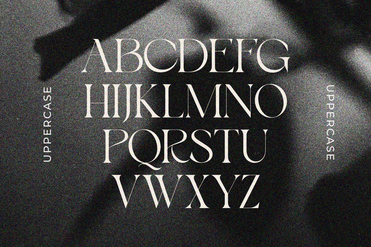 Bayari, a Serif Font by zaaintype (Photo 8 of 11)