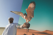 Warm & Golden Lightroom Presets, an Action Add-On by PhotoMarket (Thumbnail 21 of 48)