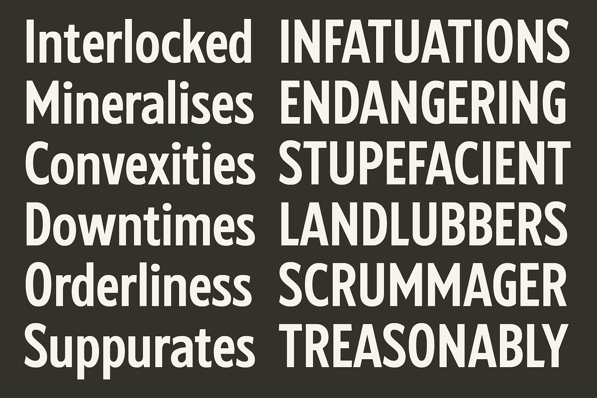 Iron Crates - A Sans Font Collection, a Sans Serif Font by Martype (Photo 3 of 12)