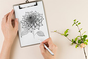100 Beautiful Flower Coloring Pages, a Decorative Illustration by Blue Digital Studio (Thumbnail 3 of 7)