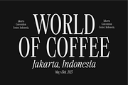 403 Mesapholic Modern Serif, a Serif Font by 403 Type Foundry (Thumbnail 6 of 16)
