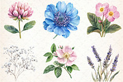 Watercolor Wild Flower Clipart, an Illustration by Libby Wishes (Thumbnail 2 of 7)