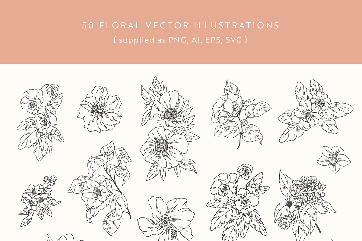 Flower Garden Vector Illustrations, a Decorative Illustration by Emma Webb Studio (Photo 2 of 8)