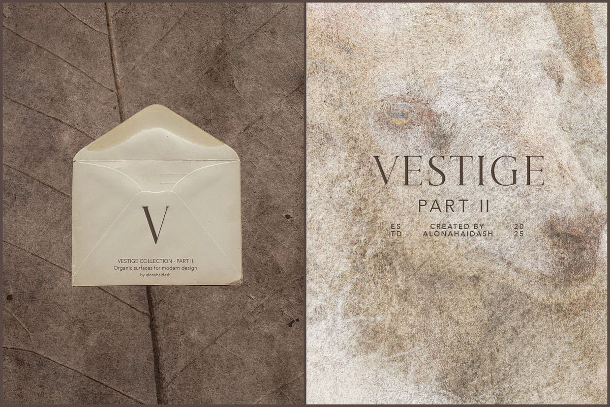 Vestige II · Organic Backgrounds, a Background Graphic by alonahaidash (Photo 4 of 16)