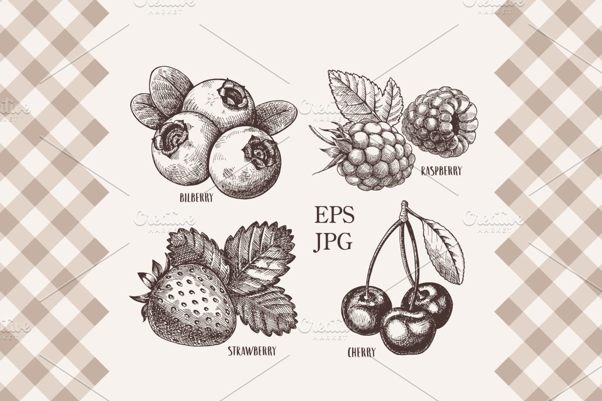 Vintage berry illustration., an Illustration by natadanko (Photo 2 of 3)