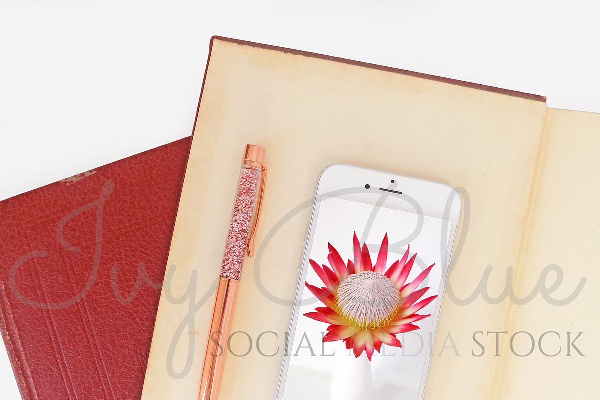 Madiba Collection - 16, an iPhone Mockup by Ivy Blue