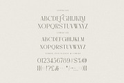 Caroline Luxury Serif, a Serif Font by Cruzine (Thumbnail 7 of 10)