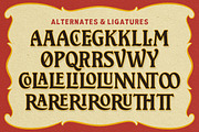 IC Shelby Meadows - Display Serif, a Serif Font by IronbirdCreative (Thumbnail 10 of 10)