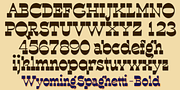 WyomingSpaghetti, a Slab Serif Font by Ingrimayne Type (Thumbnail 5 of 5)