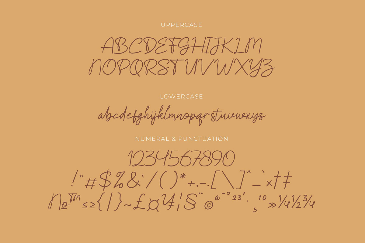 Faugllin Balseyn | Handwritten Font, a Script Font by gracetype_studio (Photo 11 of 13)