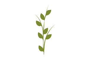 Stylized green plant stem with, an Object Illustration by okskukuruza