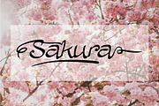 ALLURA, a Handwritten Font by Barkah (Thumbnail 3 of 9)