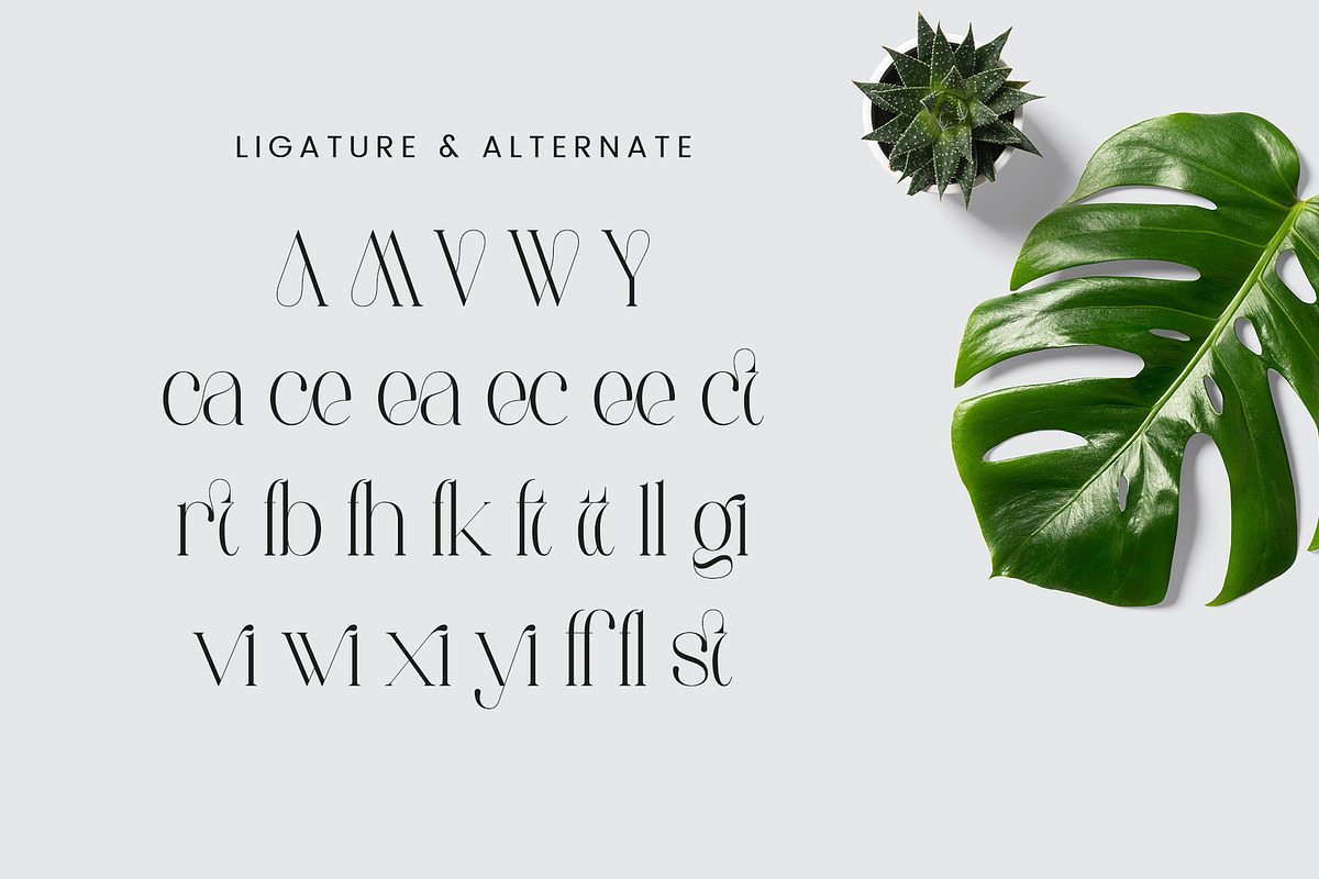 Mattegi - Modern Serif Font, a Serif Font by Aqeel_Art (Photo 11 of 12)