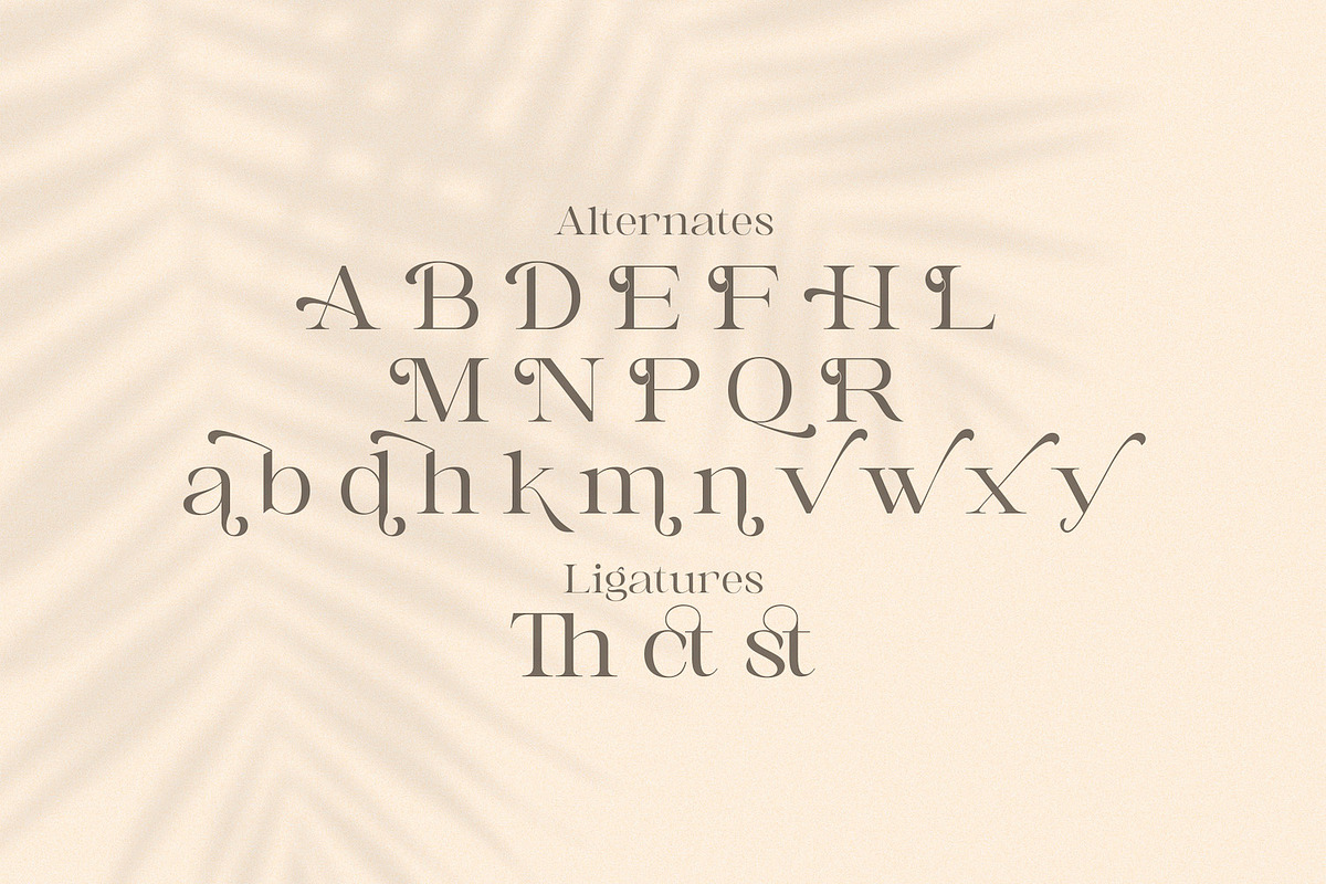 Awaken - Casual Serif Font, a Serif Font by StringLabs (Photo 11 of 11)
