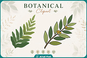 Boho Botanical Leaves Clipart Bundle, a Nature Photo by Actual Pixel (Thumbnail 16 of 21)