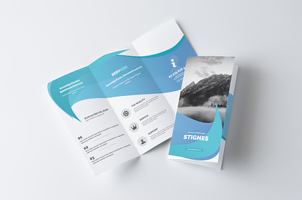 Business Trifold Brochure