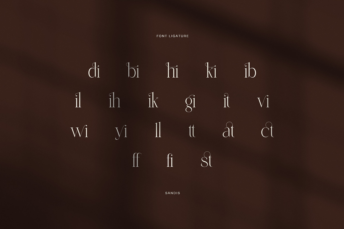 Sandis Elegant Serif Font, a Serif Font by Perfectype (Photo 8 of 8)