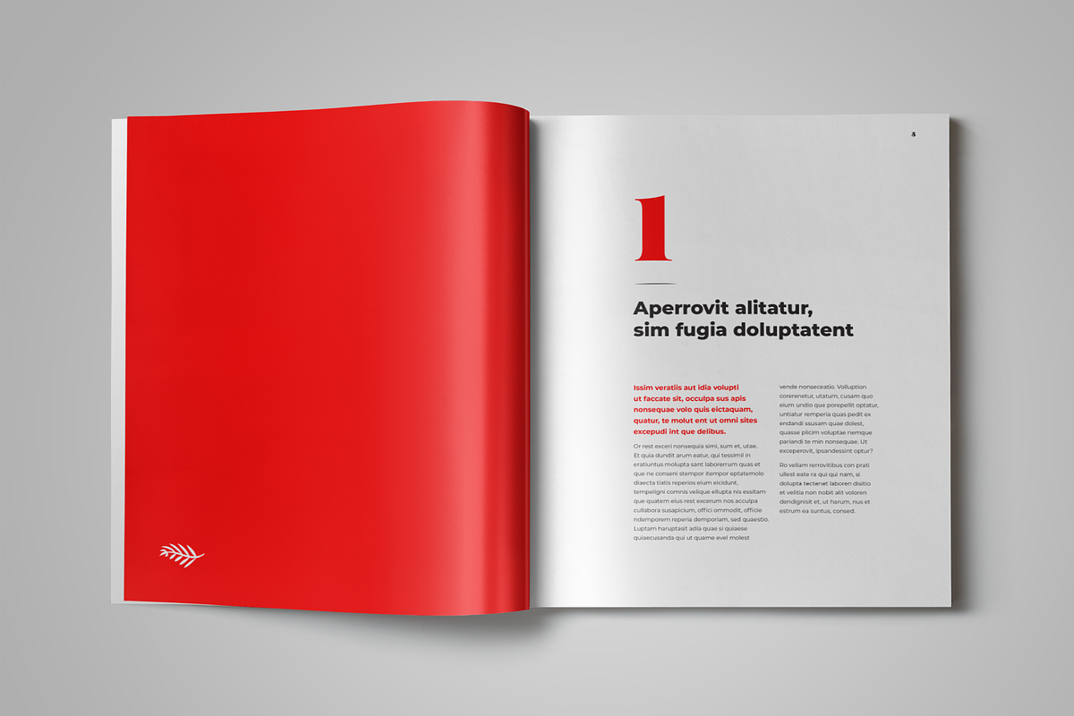 Book Template, a Templates & Theme by StockInDesign (Photo 6 of 11)