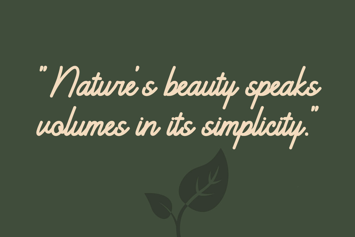 Bashats - Script Monoline Font, a Handwritten Font by twinstd (Photo 7 of 7)