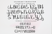 Beautica, a Handwritten Font by FreshTypeINK (Thumbnail 5 of 8)