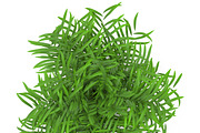Flowerpot, an Environmental 3D Model by AndrewWhite (Thumbnail 2 of 5)